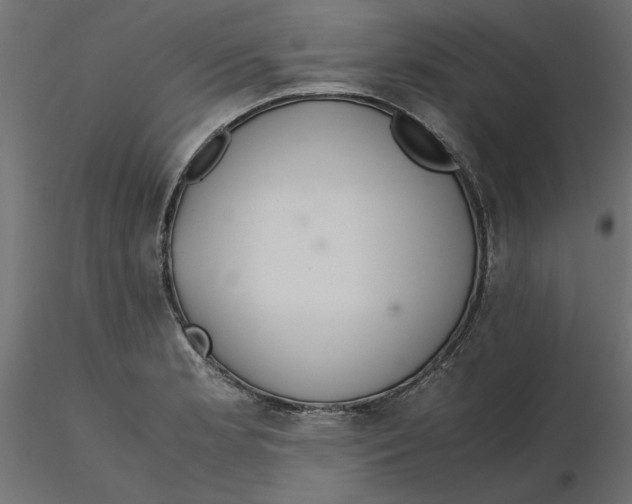 X0000116561181200912311926