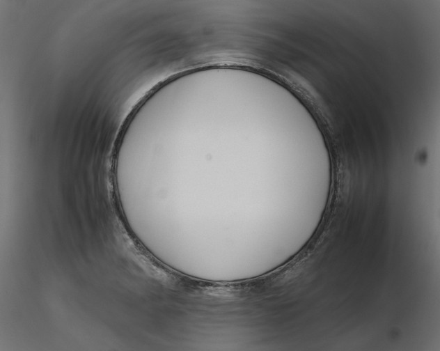 X0000116561182200912311926