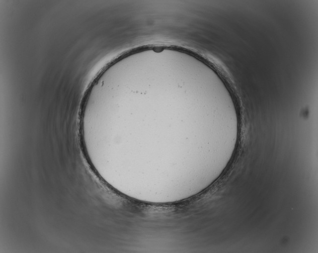 X0000116561183200912311926