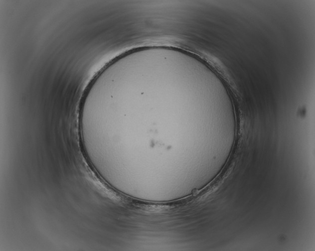 X0000116561184200912311926