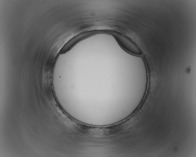 X0000116561185200912311926