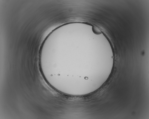 X0000116561187200912311926