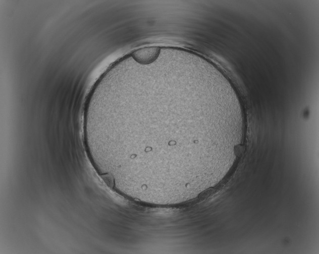 X0000116561188200912311926