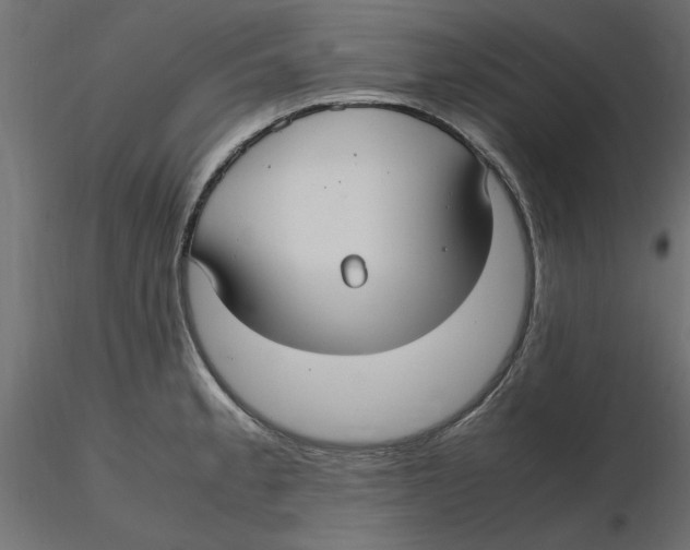 X0000116561189200912311926