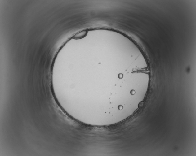 X0000116561191200912311926