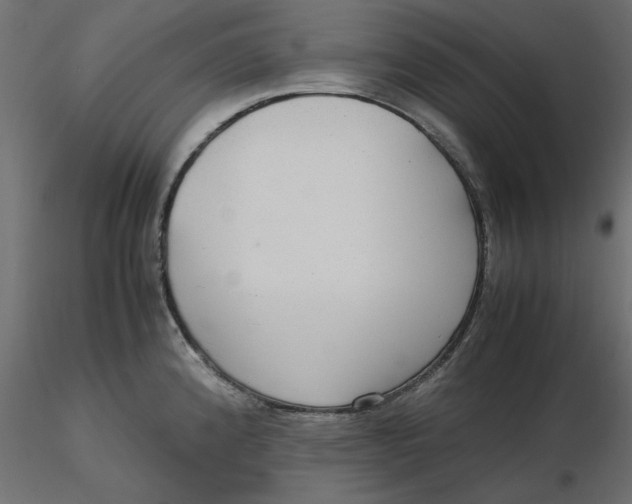 X0000116561192200912311926