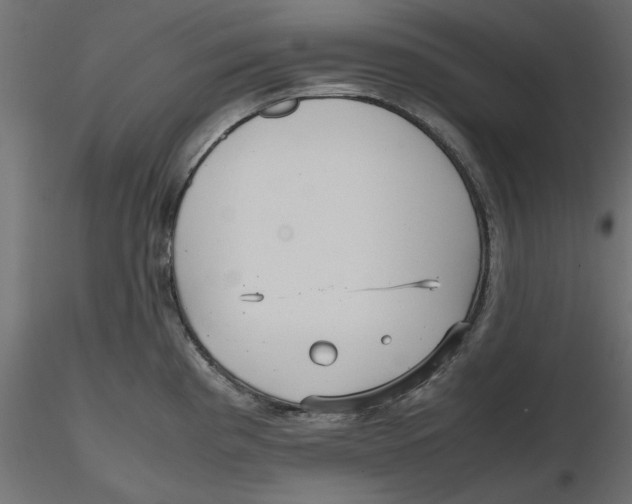 X0000116561193200912311926