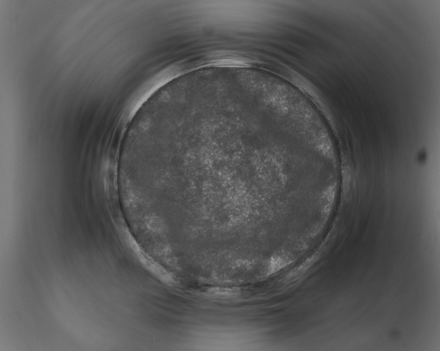 X0000116561194200912311926