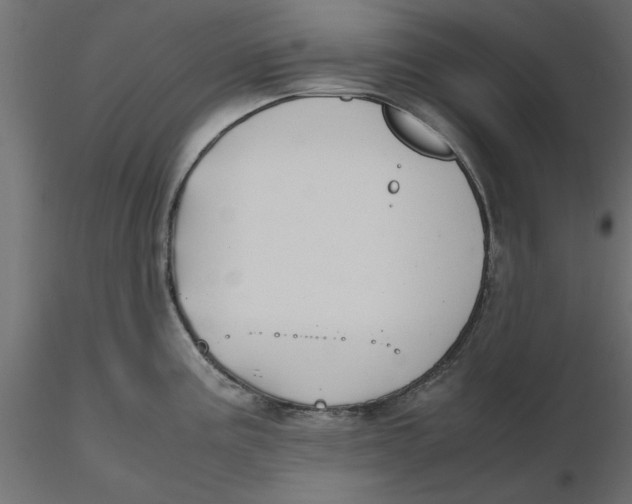 X0000116561195200912311926