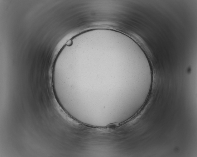 X0000116561196200912311926