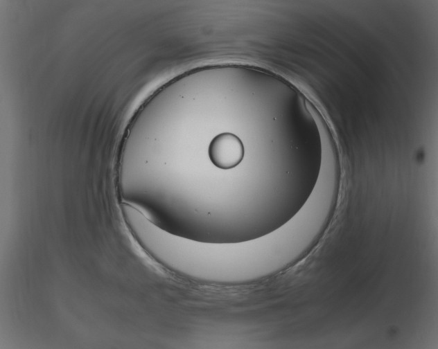 X0000116561197200912311926