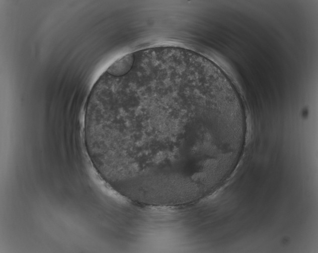 X0000116561198200912311926