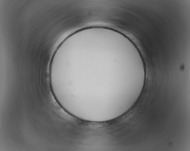 X0000116561199200912311926