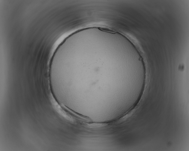 X0000116561200200912311926