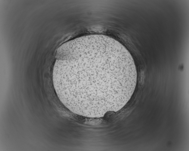 X0000116561201200912311925