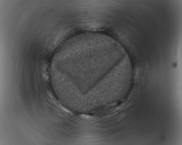 X0000116561202200912311925