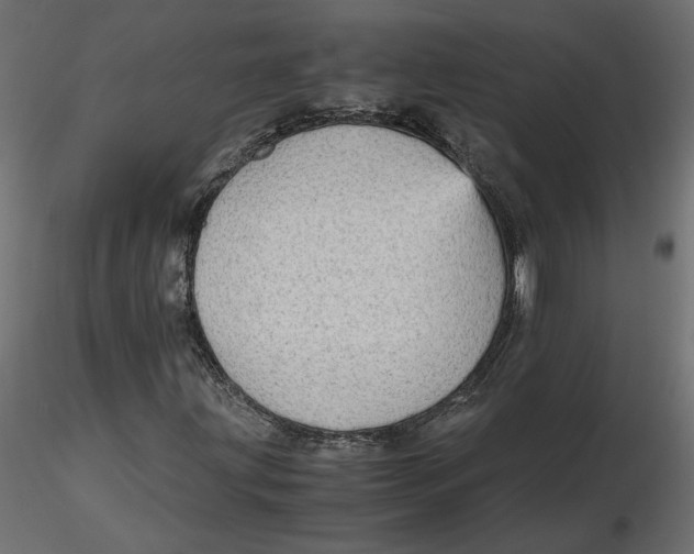 X0000116561203200912311925