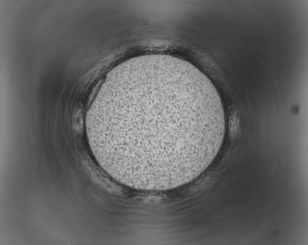 X0000116561204200912311925