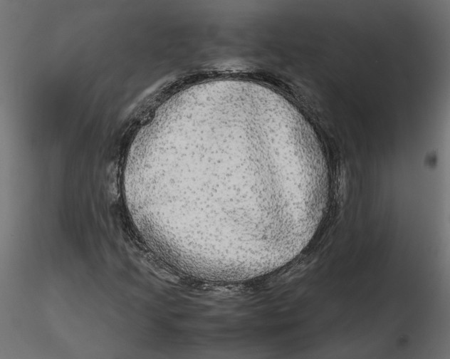 X0000116561205200912311925