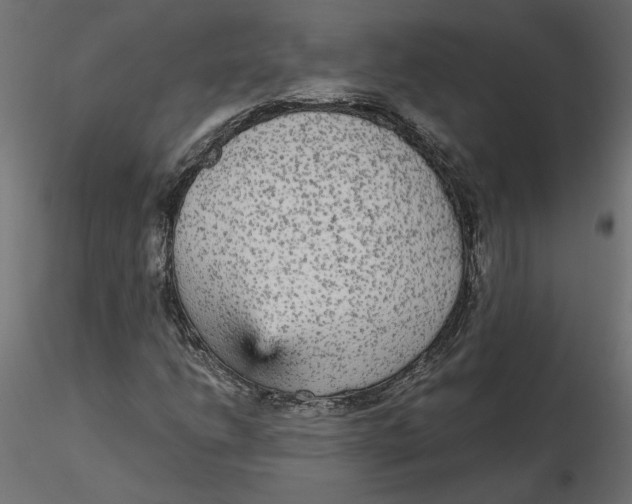 X0000116561206200912311925