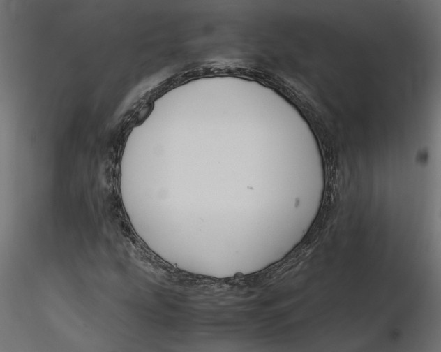 X0000116561207200912311925