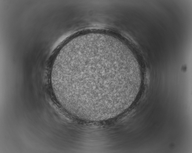 X0000116561208200912311925