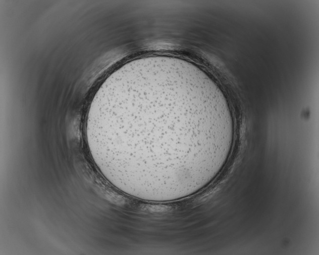 X0000116561209200912311925