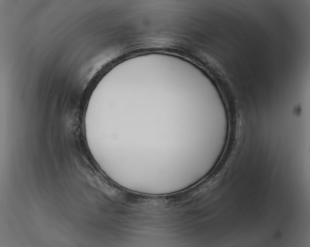 X0000116561210200912311925