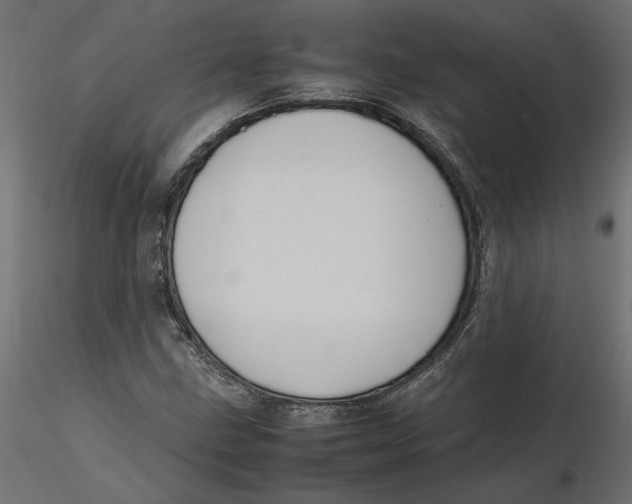 X0000116561211200912311925