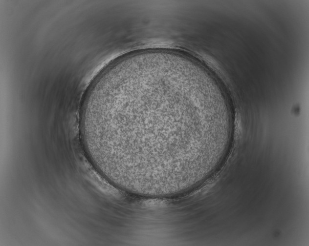 X0000116561212200912311925