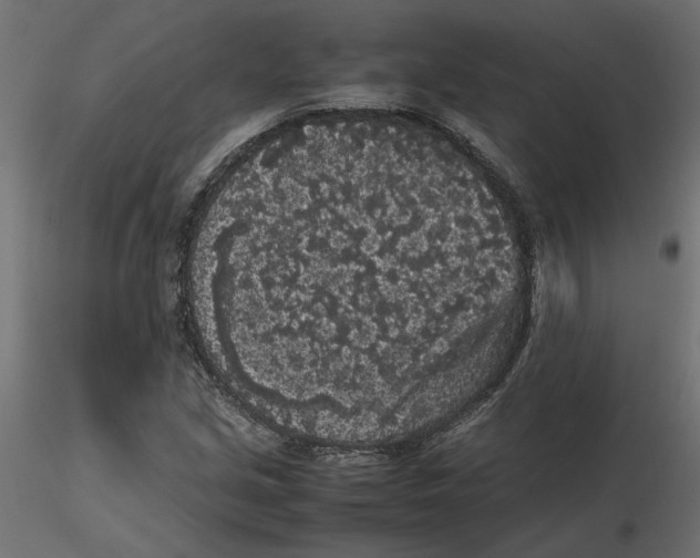 X0000116561213200912311925