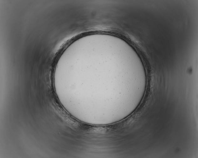 X0000116561214200912311925