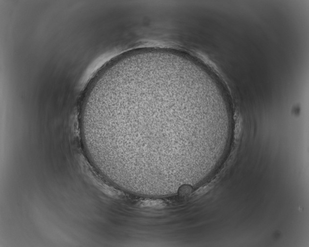 X0000116561215200912311925