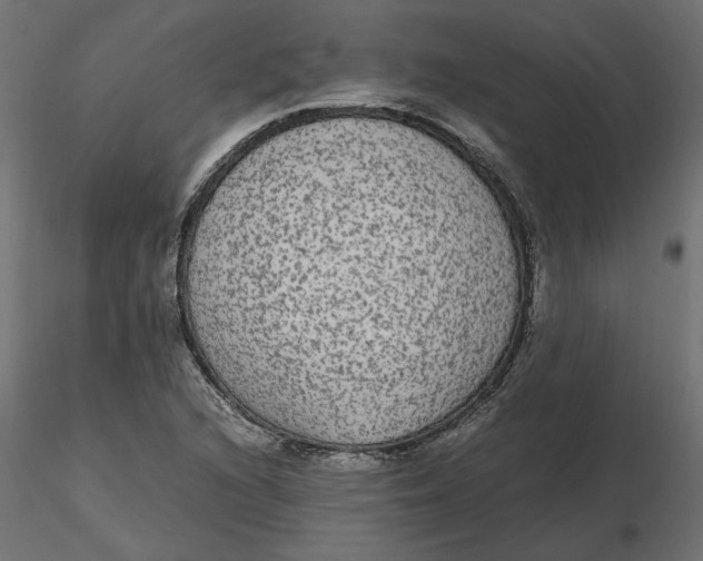 X0000116561216200912311925