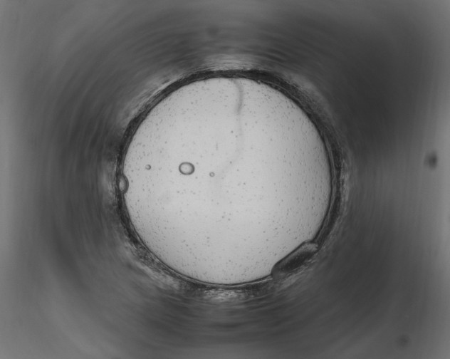 X0000116561217200912311925