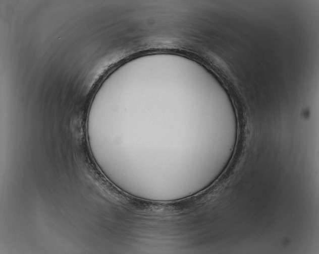 X0000116561218200912311925