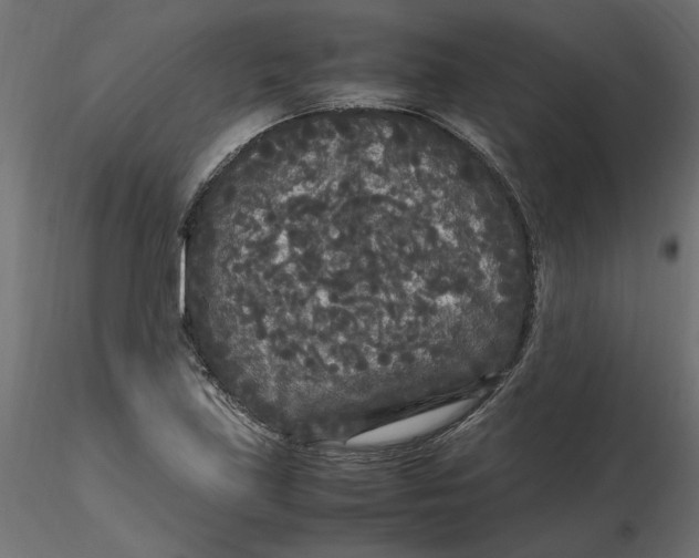 X0000116561219200912311925