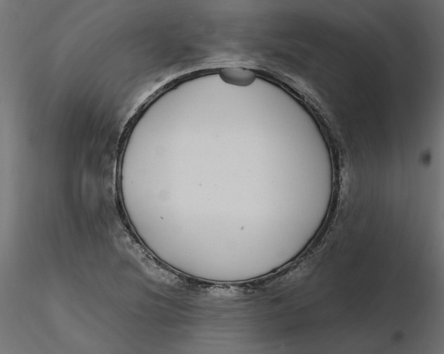 X0000116561220200912311925