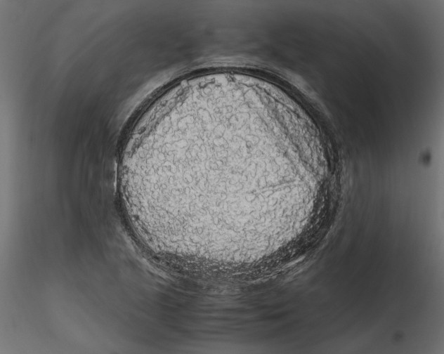 X0000116561221200912311925