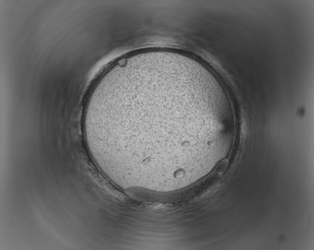 X0000116561222200912311925