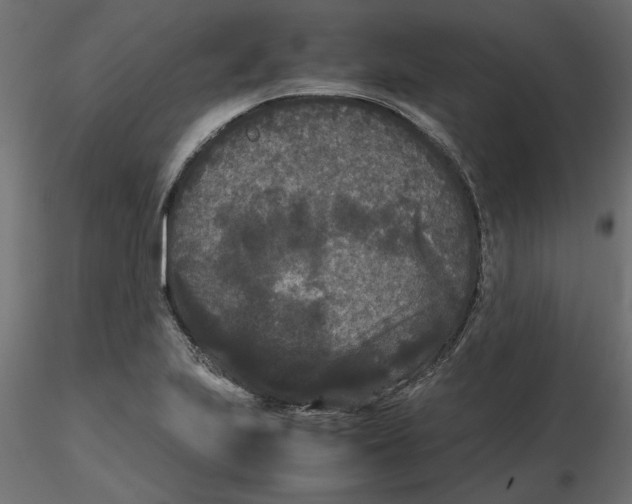 X0000116561223200912311925