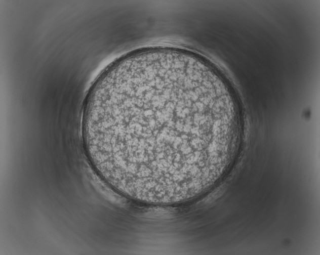 X0000116561224200912311925