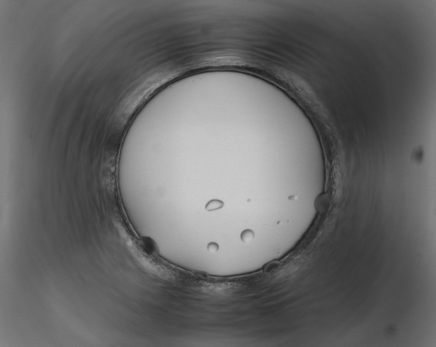 X0000116561225200912311925