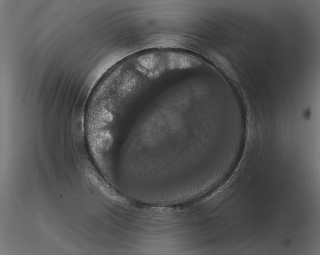 X0000116561226200912311925