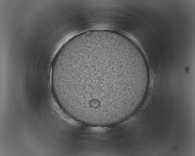 X0000116561227200912311925