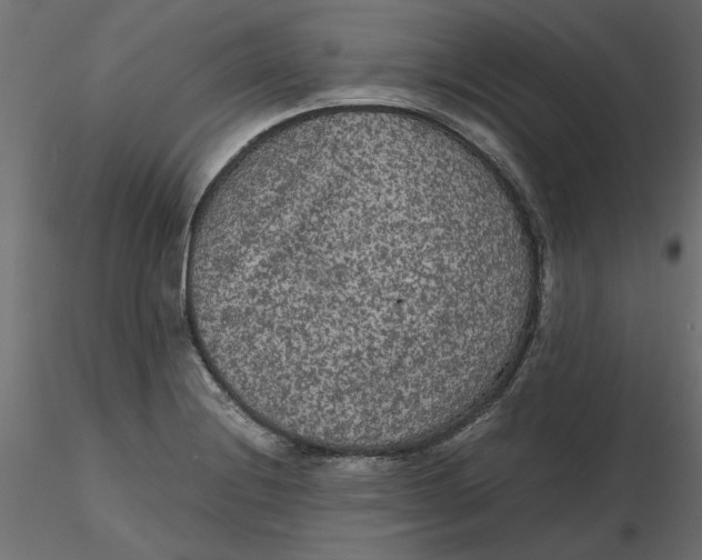 X0000116561228200912311926