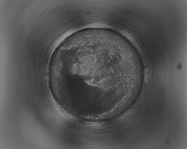 X0000116561229200912311926