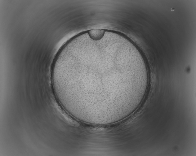 X0000116561230200912311926