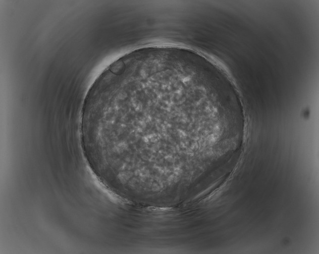 X0000116561231200912311926