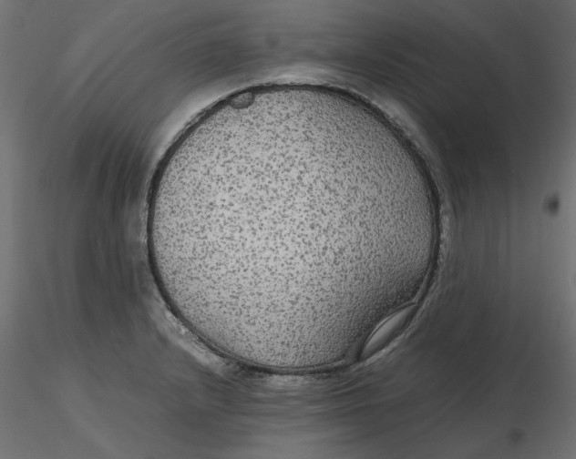 X0000116561232200912311926